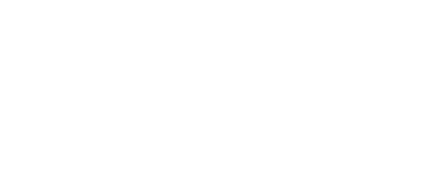 デジメイ　ワタシをデジタルにアナタへ贈る